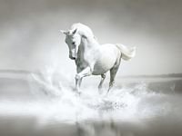 pic for White Horse Water 